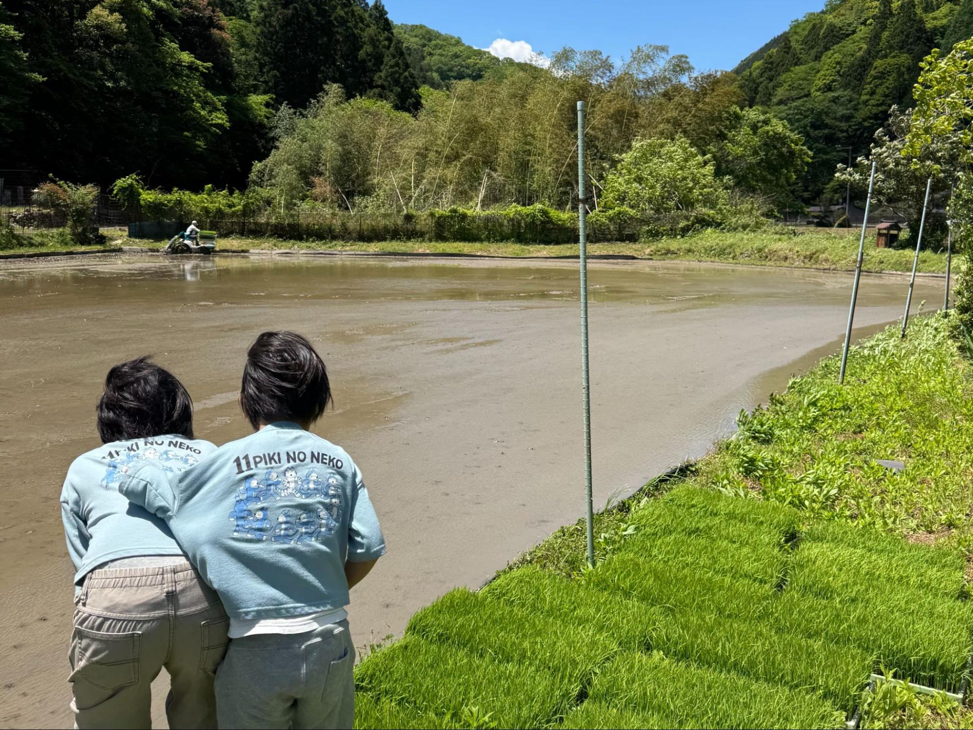 田植えの日